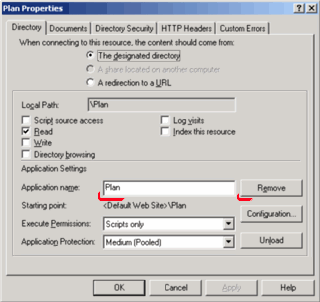 screenshot of IIS console, application setting